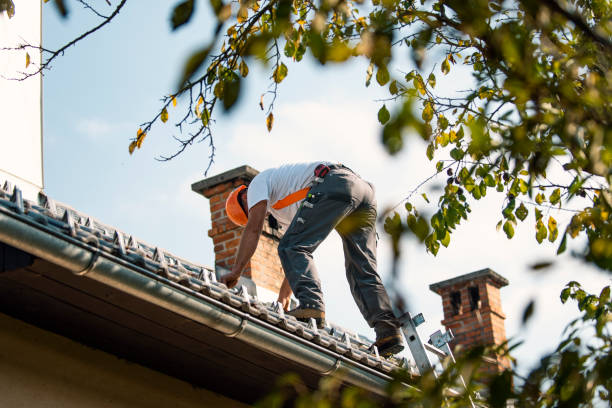 Best Roof Gutter Cleaning  in Babbitt, MN